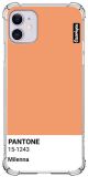 Capa Pantone Name Papaya