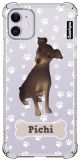 Capa Pinscher